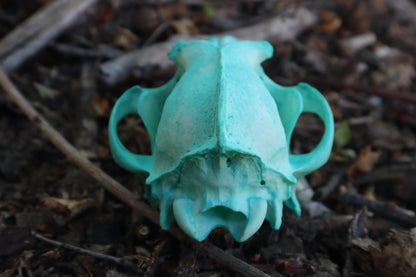 Pathological Blue Copper Coyote Skull
