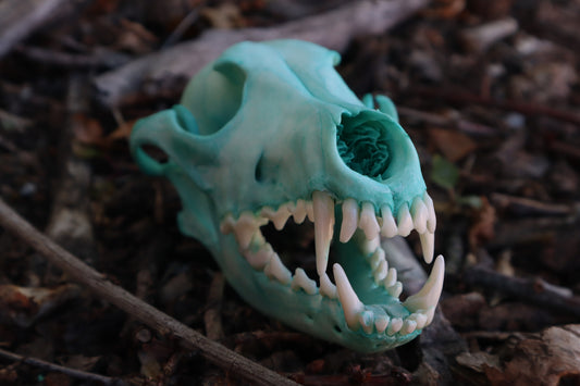 Blue Copper Coyote Skull