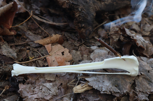 Red Fox Bone Incense Burner