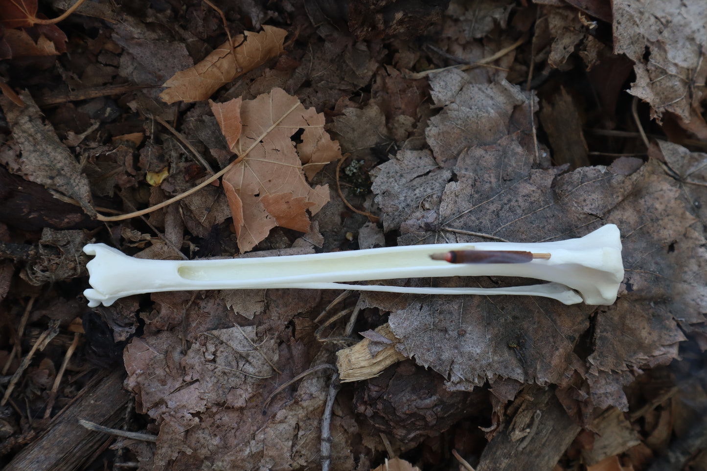Red Fox Bone Incense Burner
