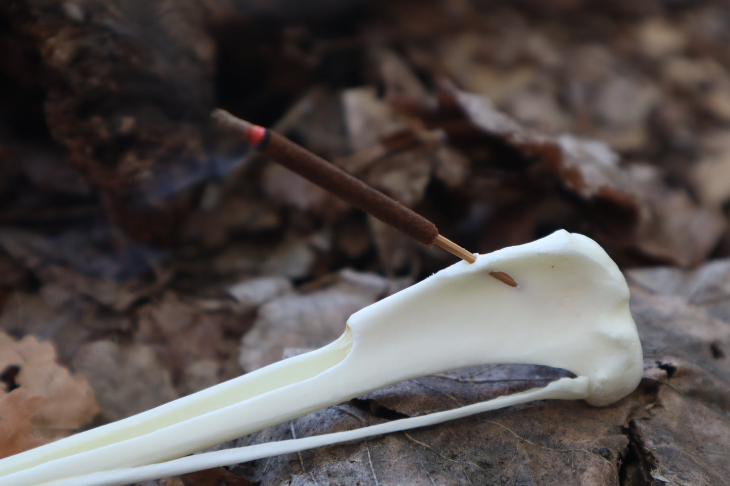 Red Fox Bone Incense Burner