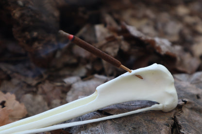Red Fox Bone Incense Burner