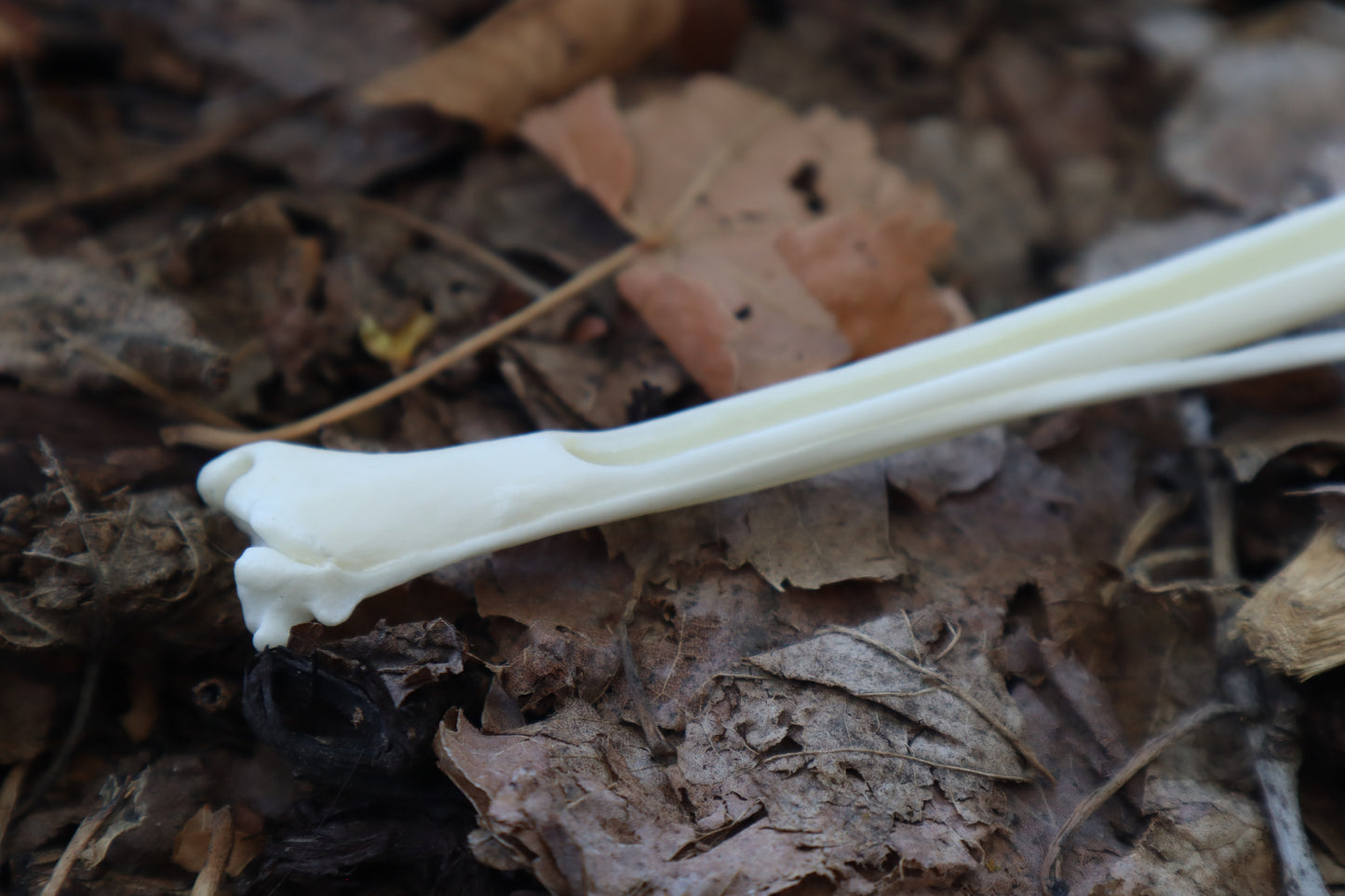 Red Fox Bone Incense Burner