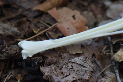 Red Fox Bone Incense Burner
