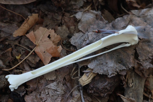 Red Fox Bone Incense Burner