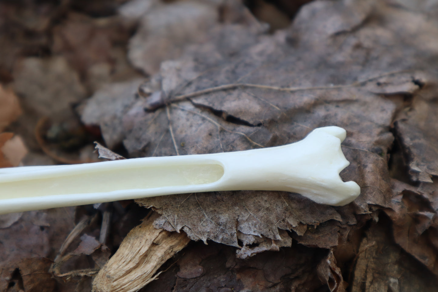 Red Fox Bone Incense Burner