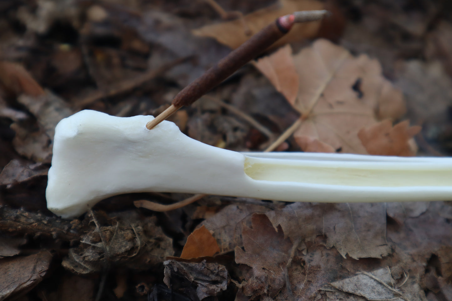Red Fox Bone Incense Burner
