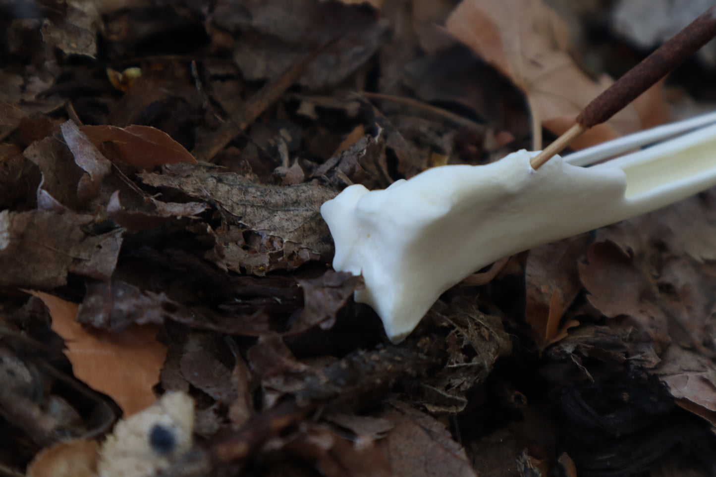 Red Fox Bone Incense Burner