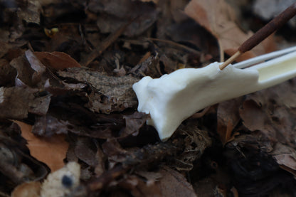 Red Fox Bone Incense Burner