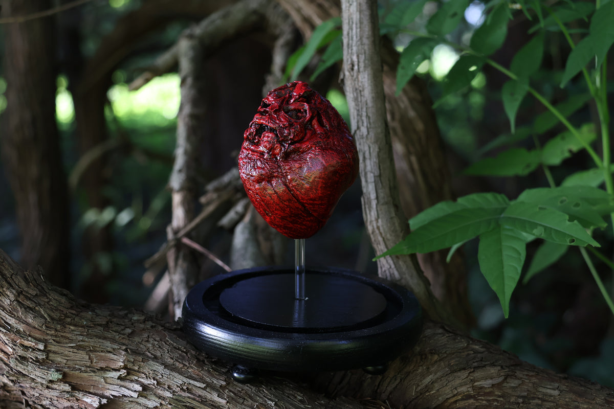 Dry Preserved Coyote Heart