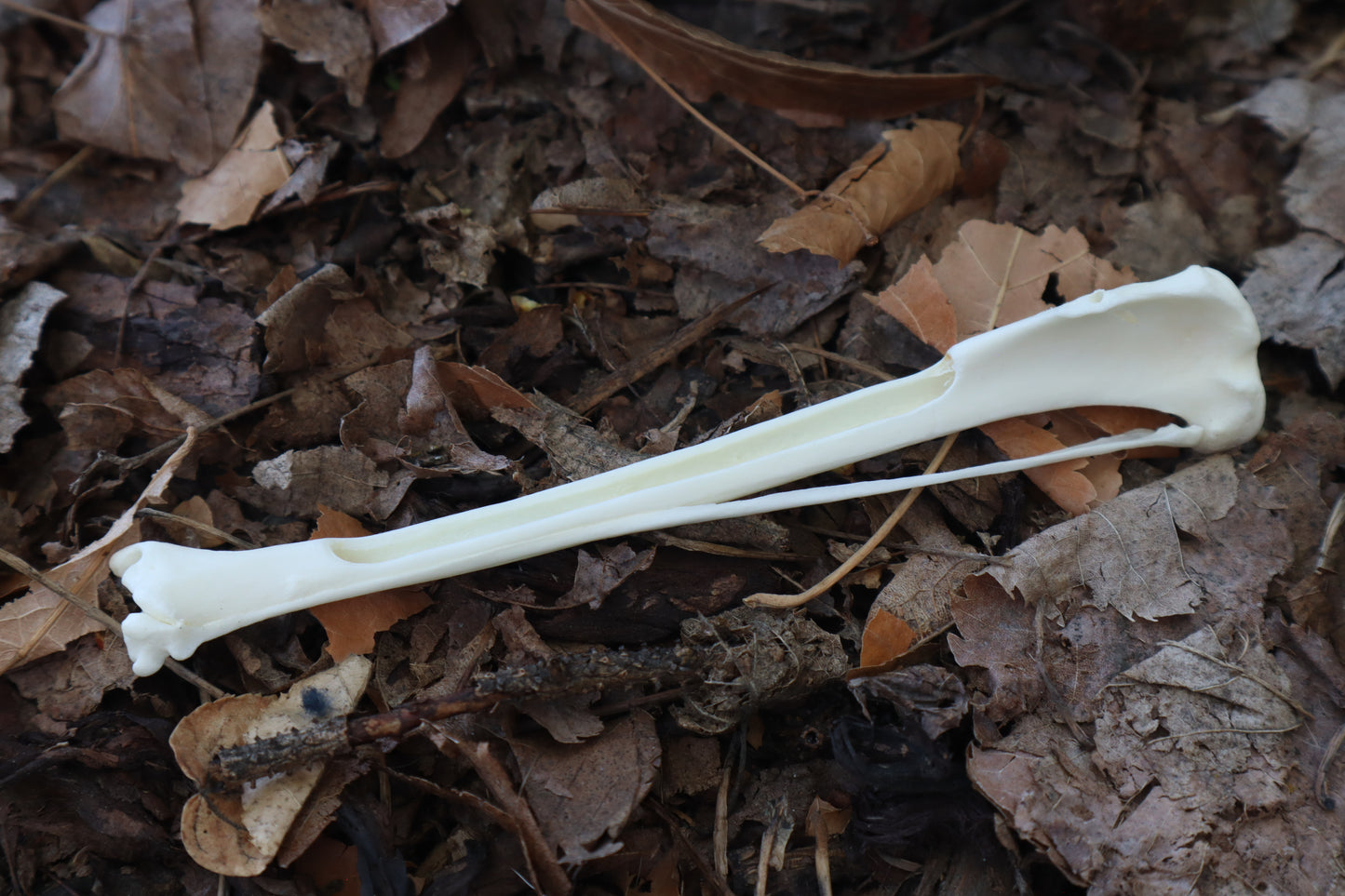 Red Fox Bone Incense Burner