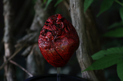 Dry Preserved Coyote Heart
