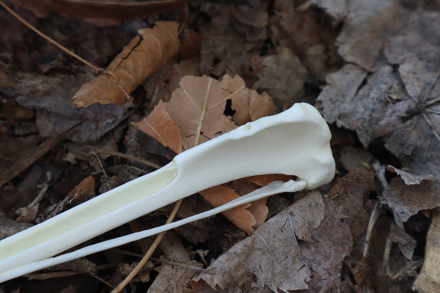 Red Fox Bone Incense Burner