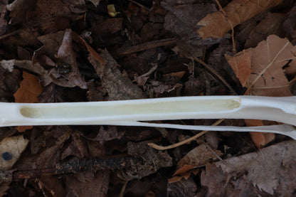 Red Fox Bone Incense Burner