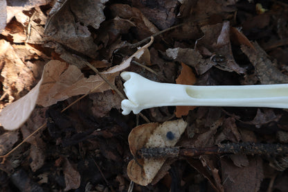 Red Fox Bone Incense Burner