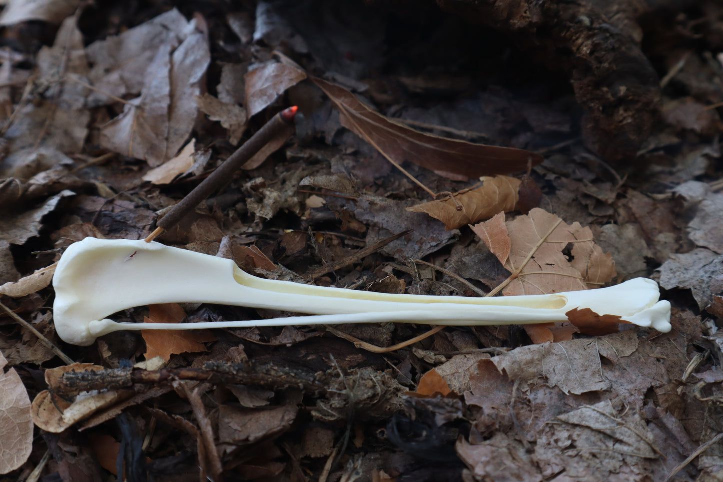 Red Fox Bone Incense Burner