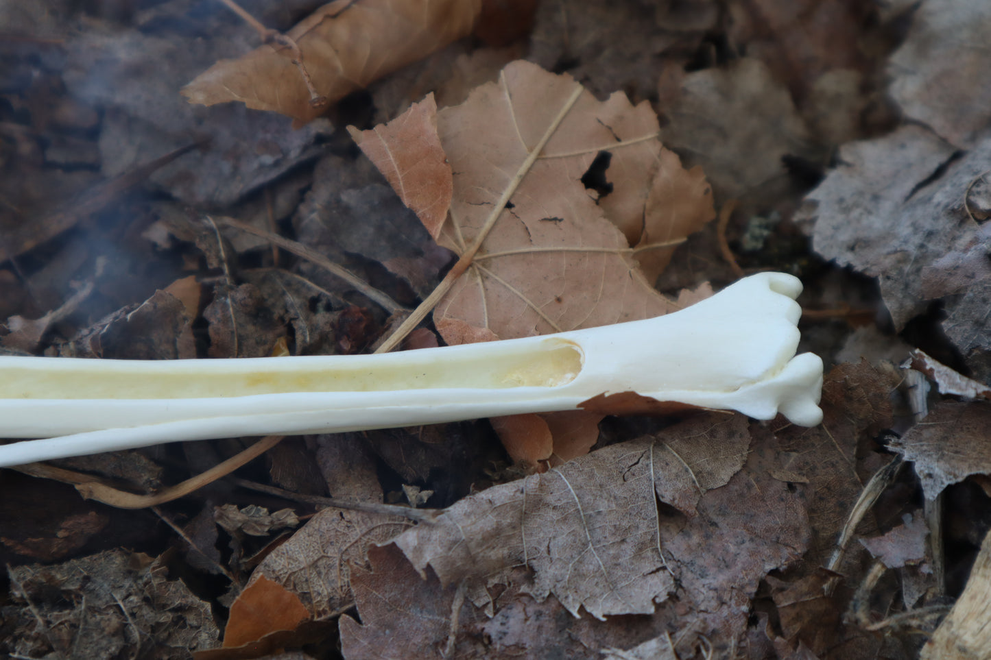Red Fox Bone Incense Burner