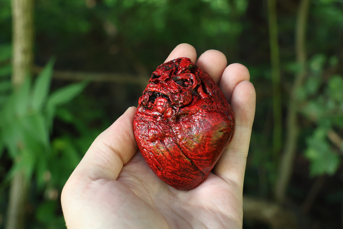 Dry Preserved Coyote Heart