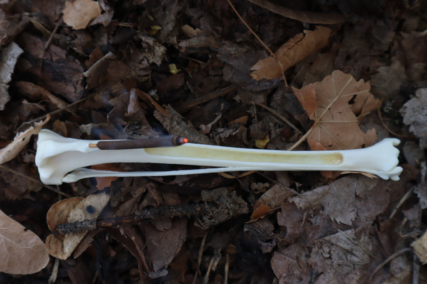 Red Fox Bone Incense Burner