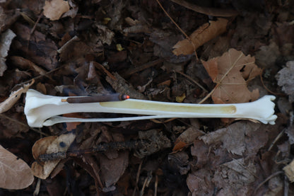 Red Fox Bone Incense Burner
