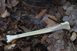 Red Fox Bone Incense Burner