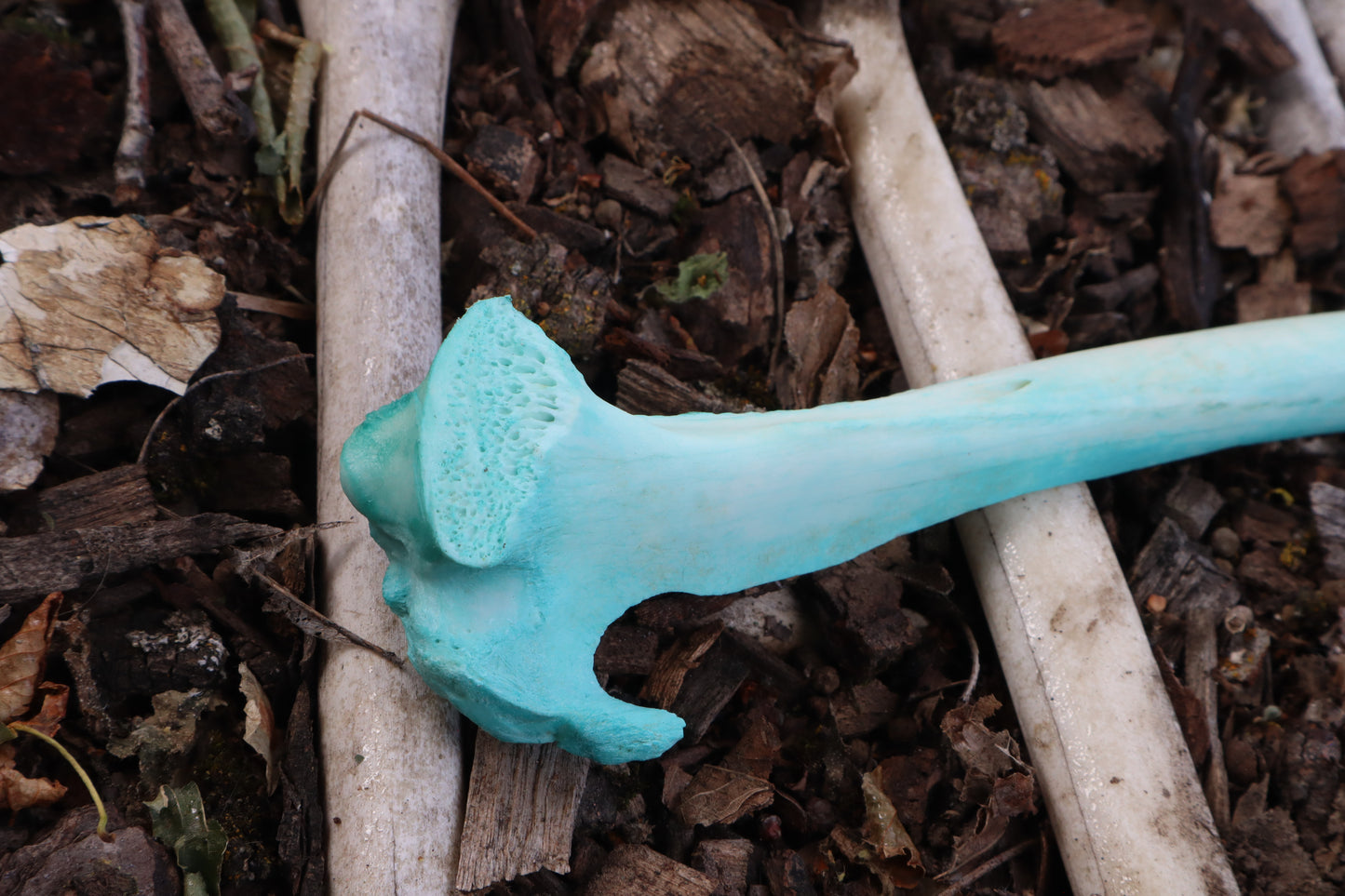 Blue Copper Whitetail Deer Tibia Incense Burner