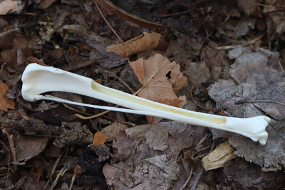 Red Fox Bone Incense Burner