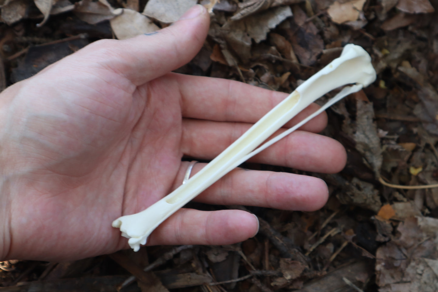 Red Fox Bone Incense Burner