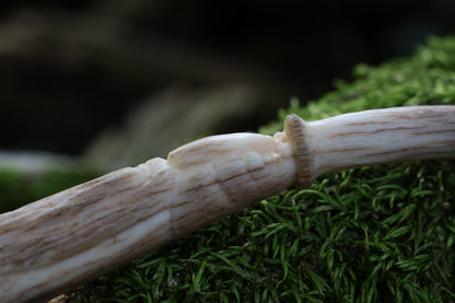 Forest Spirit Pendant