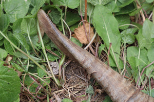 Goat Horns - Pair