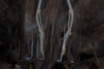 Parakeet Wing Articulation