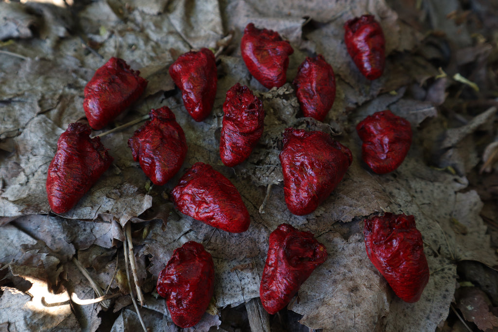 Dry Preserved Chicken Heart
