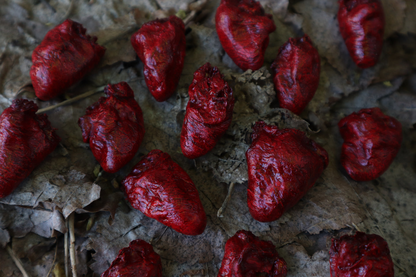 Dry Preserved Chicken Heart