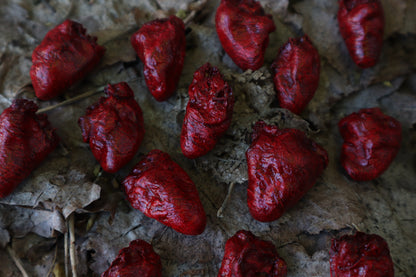 Dry Preserved Chicken Heart
