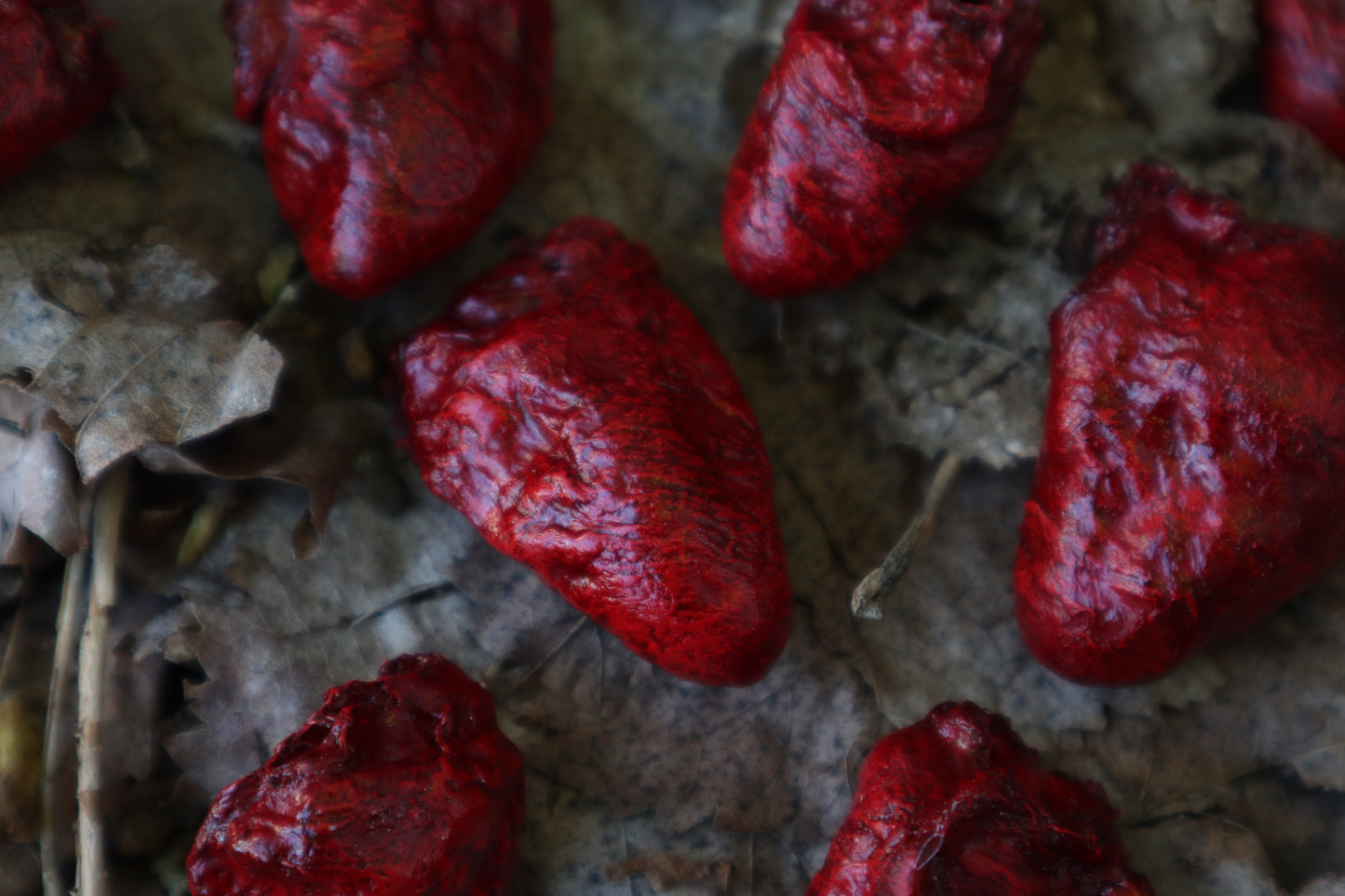 Dry Preserved Chicken Heart