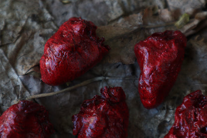 Dry Preserved Chicken Heart