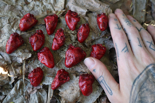 Dry Preserved Chicken Heart