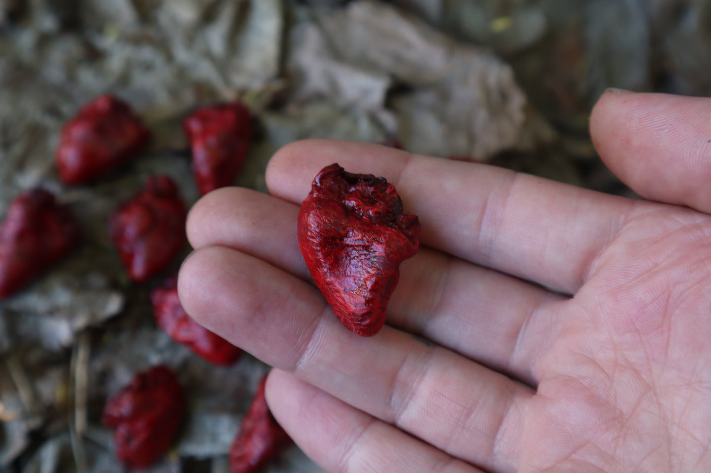 Dry Preserved Chicken Heart