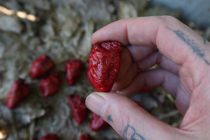 Dry Preserved Chicken Heart