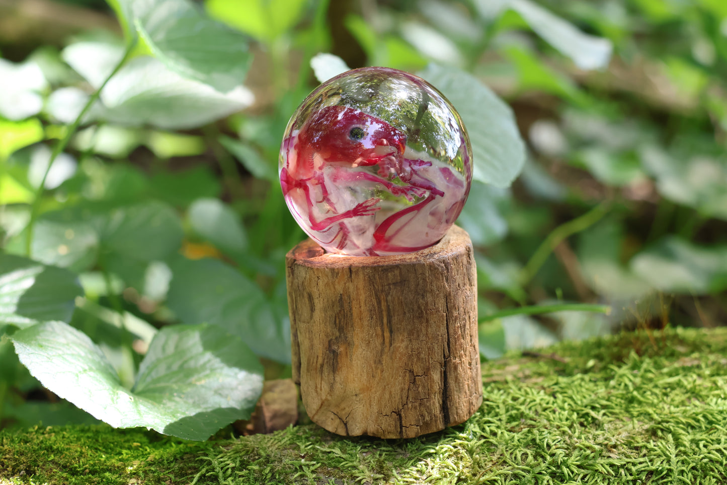 Diaphonized Rat Crystal Ball
