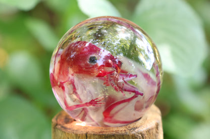 Diaphonized Rat Crystal Ball