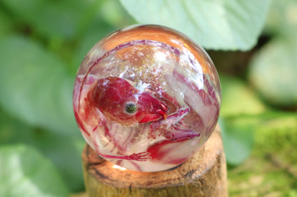 Diaphonized Rat Crystal Ball
