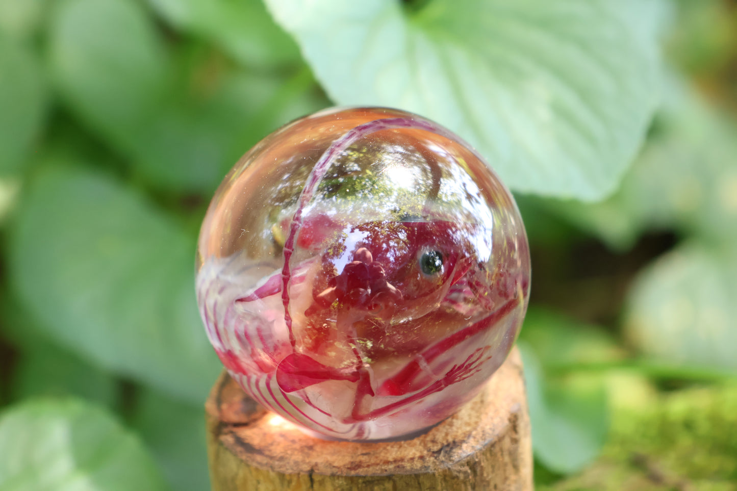 Diaphonized Rat Crystal Ball