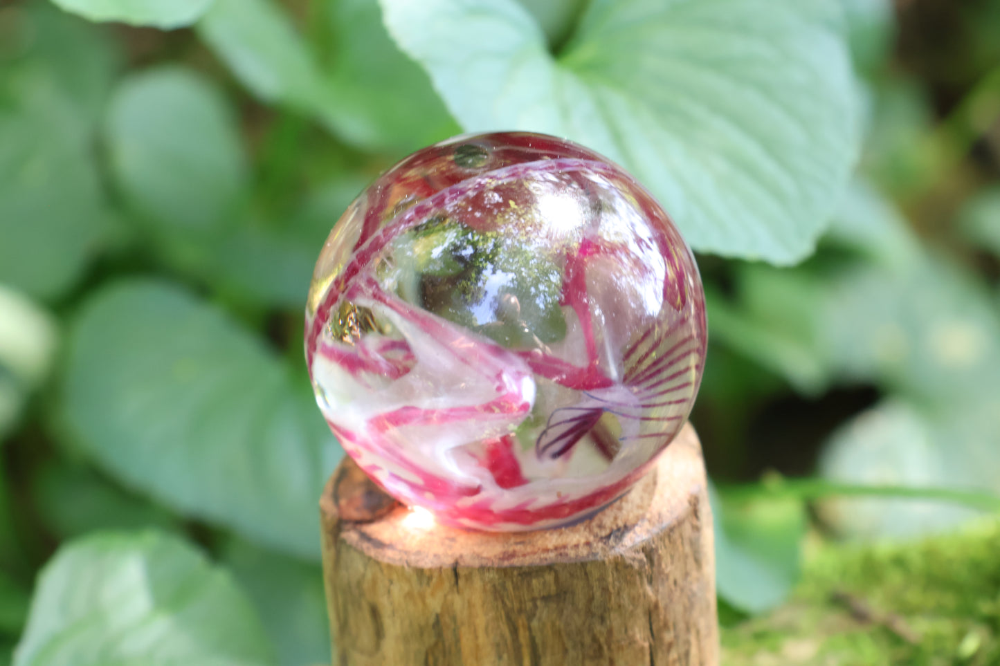 Diaphonized Rat Crystal Ball