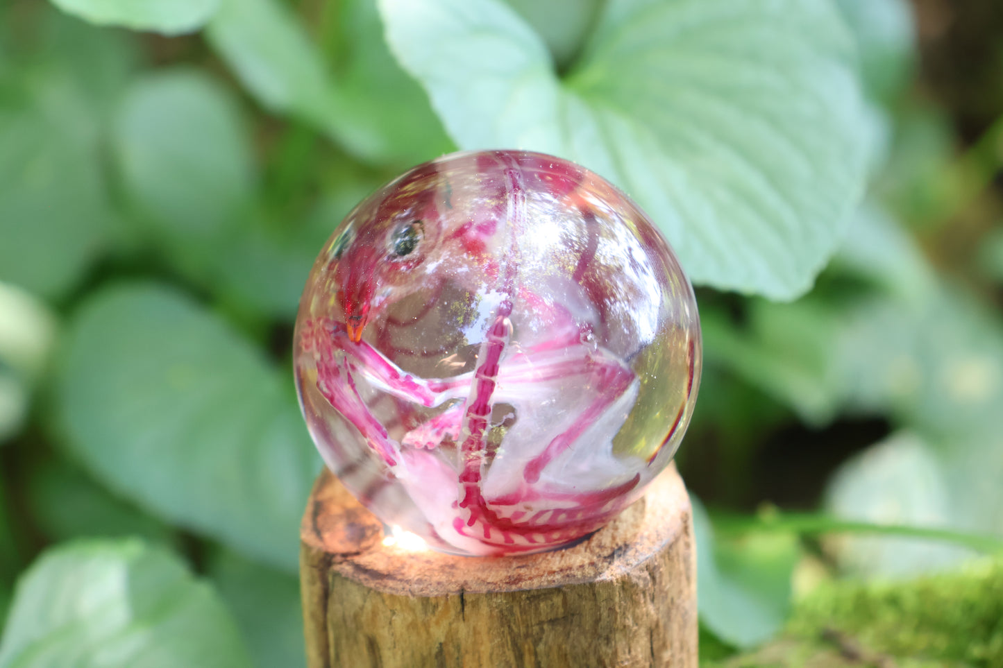 Diaphonized Rat Crystal Ball