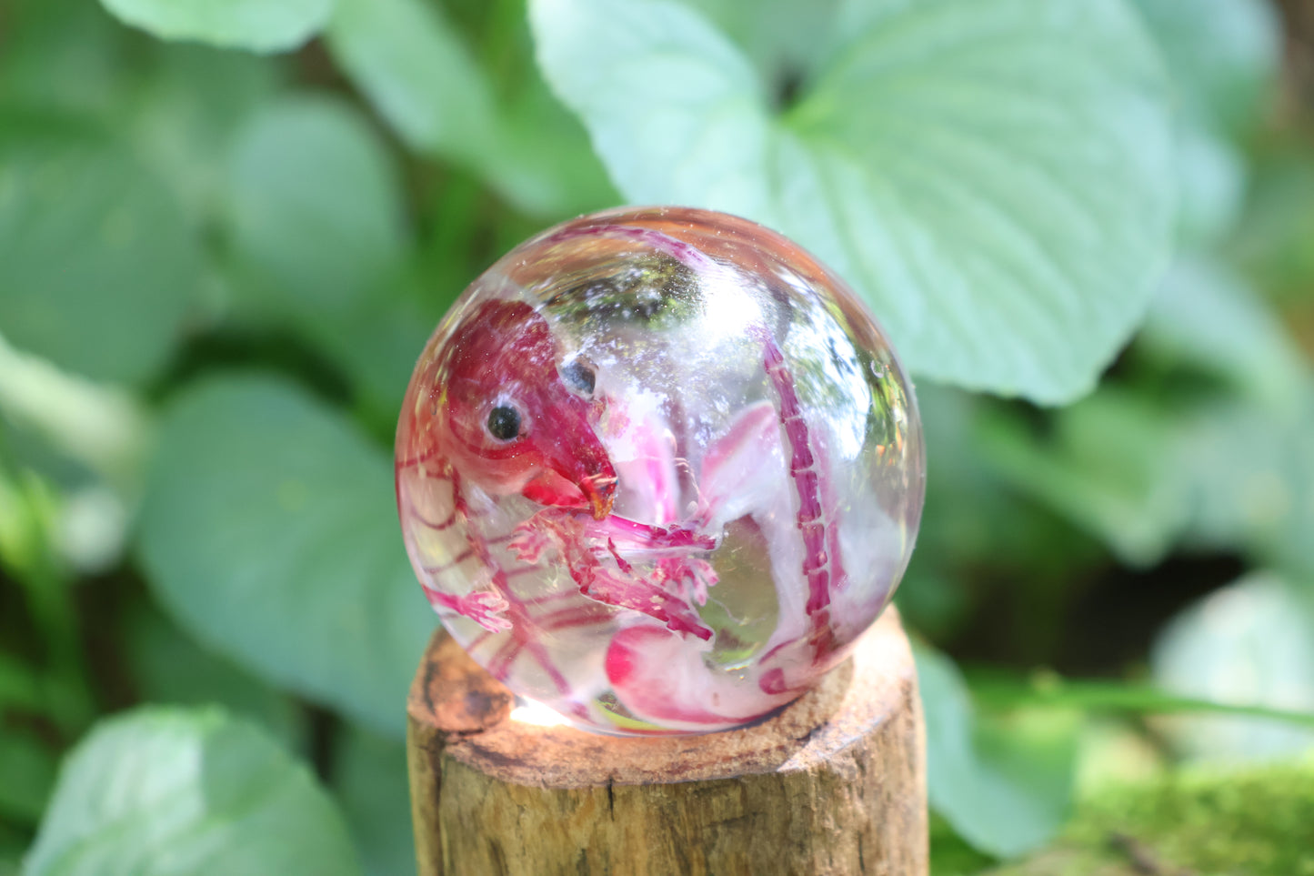 Diaphonized Rat Crystal Ball