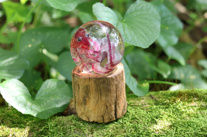 Diaphonized Rat Crystal Ball