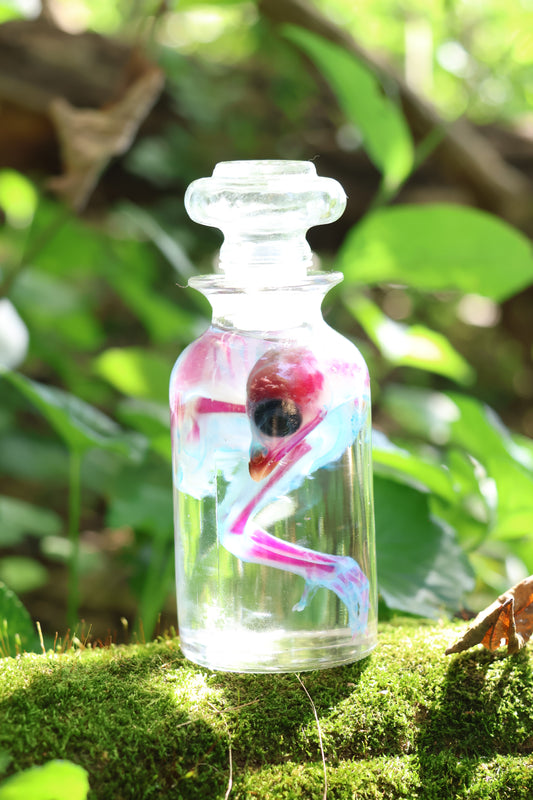 Diaphonized Baby Chick in Apothecary Jar