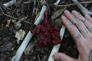 Dry Preserved Bobcat Lungs