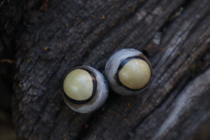 Dry Preserved Coyote Eyeballs